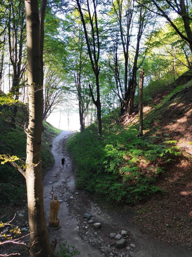 Domki Alefala Jastrzębia Góra Exterior foto