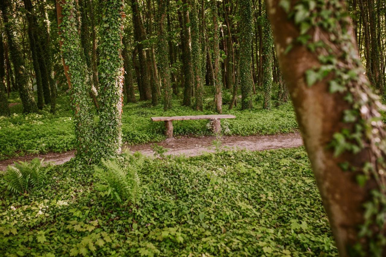 Domki Alefala Jastrzębia Góra Exterior foto